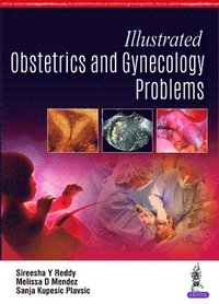 bokomslag Illustrated Obstetrics and Gynecology Problems