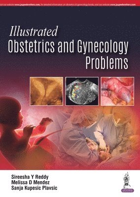 bokomslag Illustrated Obstetrics and Gynecology Problems