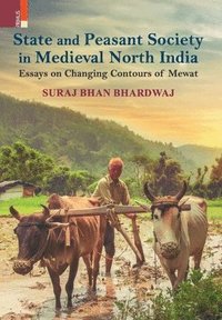 bokomslag State and Peasant Society in Medieval North India