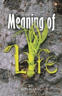 bokomslag Meaning of Life