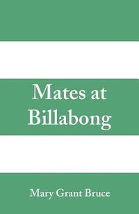 bokomslag Mates at Billabong