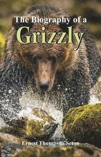 bokomslag The Biography of a Grizzly