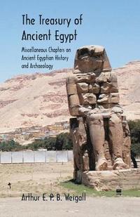 bokomslag Treasury of Ancient Egypt