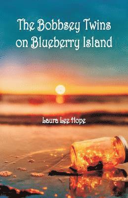 Laura Lee Hope - Bobbsey Twins on Blueberry Island, Häftad