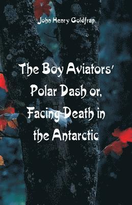 Boy Aviators' Polar Dash