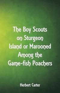 bokomslag The Boy Scouts on Sturgeon Island