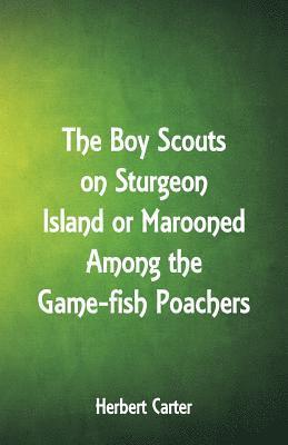 bokomslag The Boy Scouts on Sturgeon Island