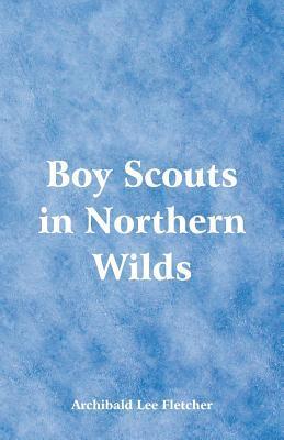 bokomslag Boy Scouts in Northern Wilds