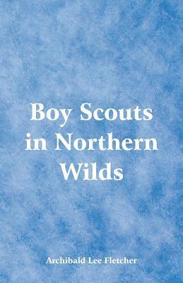 Boy Scouts in Northern Wilds