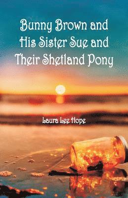bokomslag Bunny Brown and His Sister Sue and Their Shetland Pony