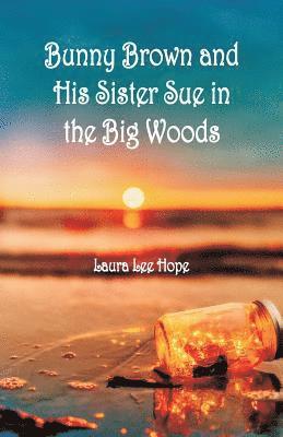 bokomslag Bunny Brown and His Sister Sue in the Big Woods