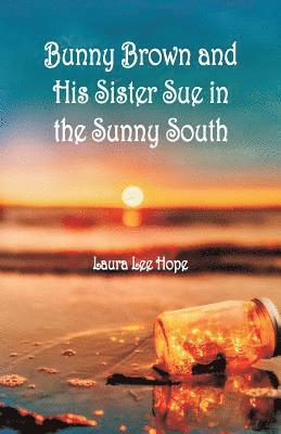 bokomslag Bunny Brown and His Sister Sue in the Sunny South
