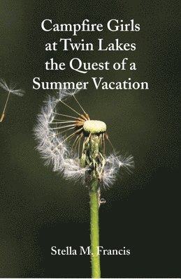 Stella M Francis, Stella M. Francis - Campfire Girls at Twin Lakes The Quest of a Summer Vacation, Häftad