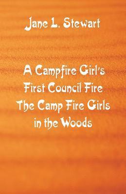 bokomslag A Campfire Girl's First Council Fire