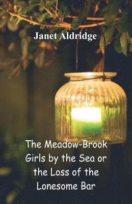 bokomslag The Meadow-Brook Girls by the Sea