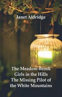 bokomslag Meadow-Brook Girls in the Hills