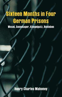 bokomslag Sixteen Months in Four German Prisons