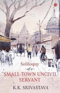 bokomslag Soliloquy of a Small-town Uncivil Servant