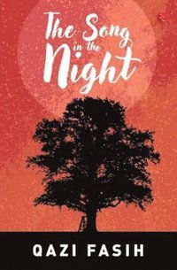 bokomslag Song In The Night