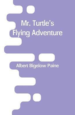 bokomslag Mr. Turtle's Flying Adventure