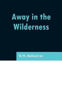 Away in the Wilderness 1