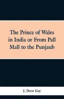 J Drew Gay, J. Drew Gay - Prince of Wales in India; Or, from Pall Mall to the Punjaub, Häftad