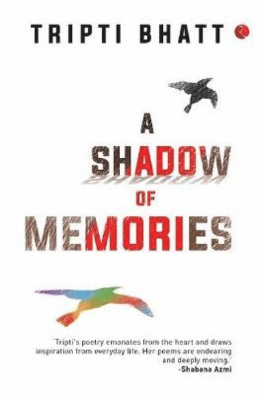 bokomslag Shadow of Memories