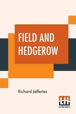 Field And Hedgerow 1