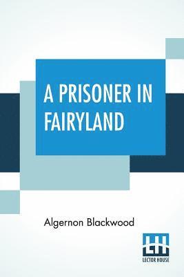 bokomslag Prisoner In Fairyland
