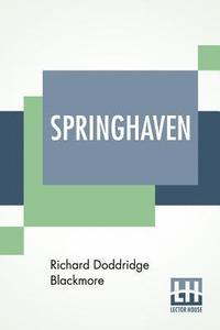 bokomslag Springhaven