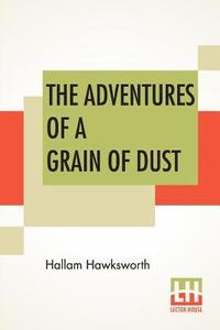 bokomslag Adventures Of A Grain Of Dust