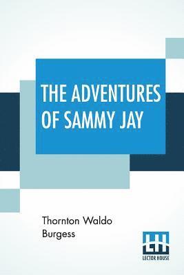 bokomslag Adventures Of Sammy Jay
