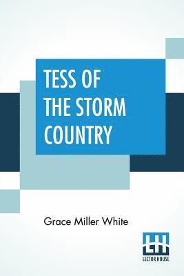 bokomslag Tess Of The Storm Country