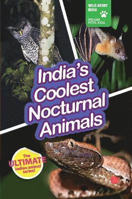 India's Coolest Nocturnal Animals