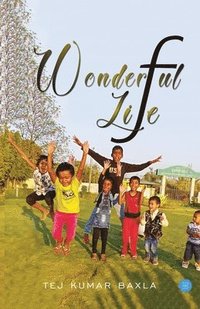 bokomslag Wonderful Life