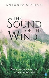 bokomslag Sound of the Wind