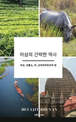 A Brief History of Assam Korean Version 아삼, 코뿔소, 차, 브라마푸트라의