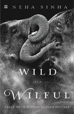 Wild And Wilful 1