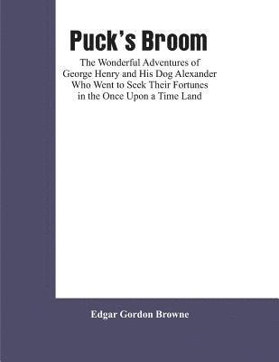 bokomslag Puck's Broom