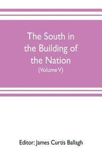 bokomslag South in the building of the nation