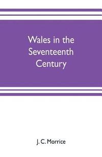 bokomslag Wales in the seventeenth century