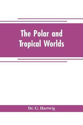 bokomslag The polar and tropical worlds