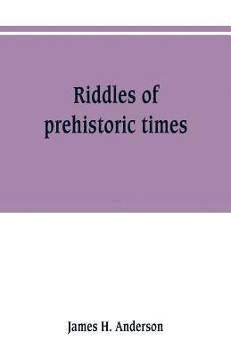 bokomslag Riddles of prehistoric times