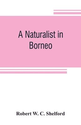 bokomslag A naturalist in Borneo