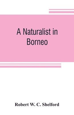 bokomslag naturalist in Borneo