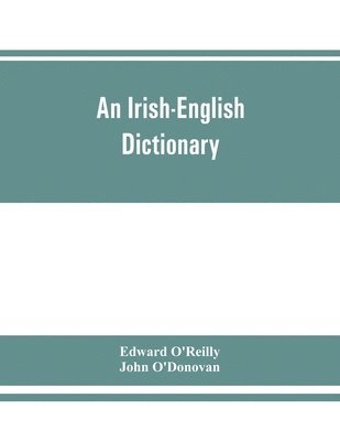 bokomslag An Irish-English dictionary