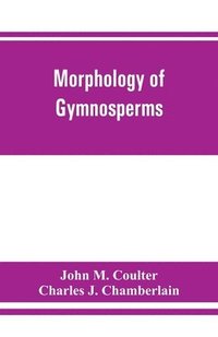 bokomslag Morphology of gymnosperms