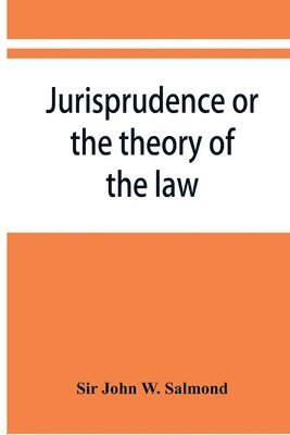 bokomslag Jurisprudence or the theory of the law