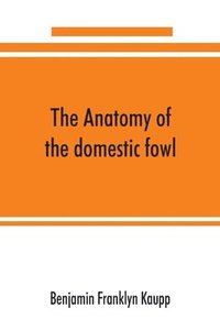bokomslag anatomy of the domestic fowl