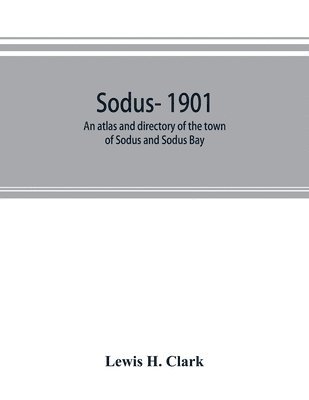 bokomslag Sodus- 1901